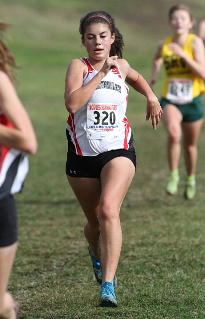 2010NCSXC GD2-2378.JPG - 2010 North Coast Section Cross Country Championships, Hayward High School, Hayward, California